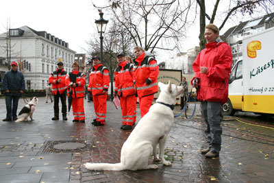 Das Foto zeigt die Rettungsmannschaft mit zwei Hunden auf dem Markt
