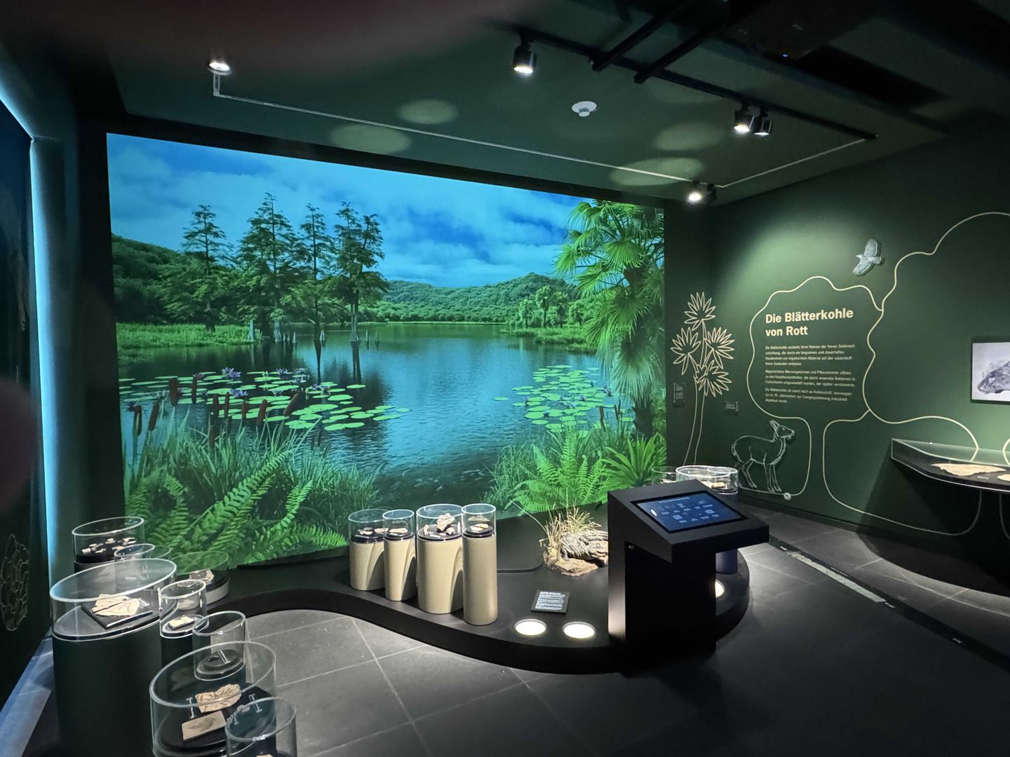 Die Abteilung zur Paläontologie im Stadtmuseum Siegburg.
