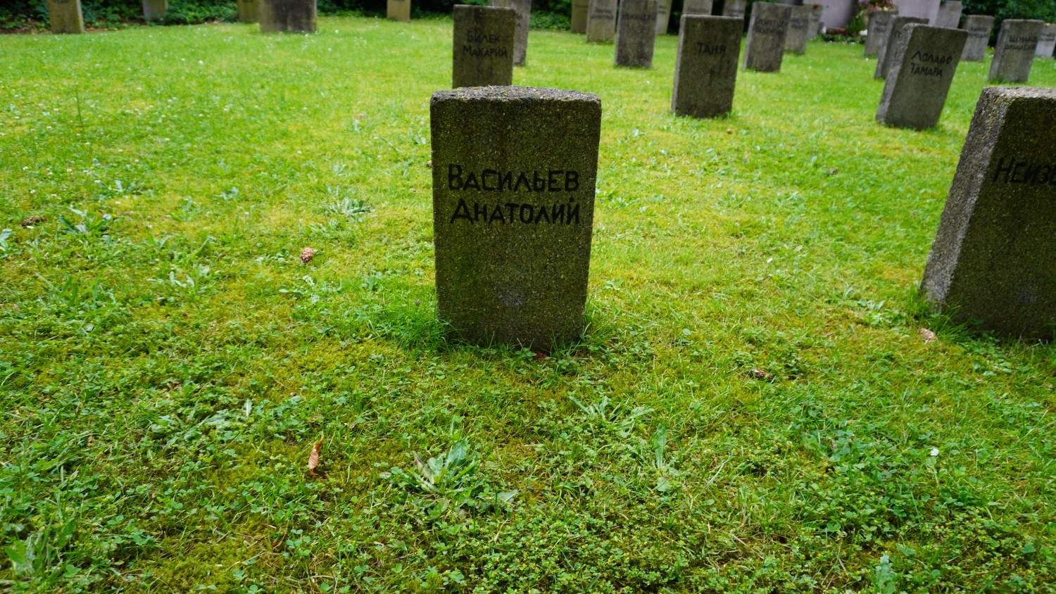 Grabstein - Anatoli Wasiljew Bild