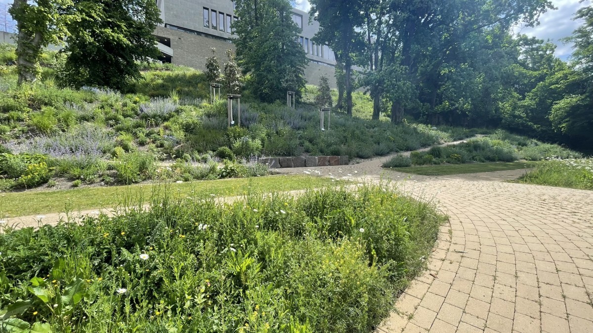 Stele 04 - Bild 01 Bild