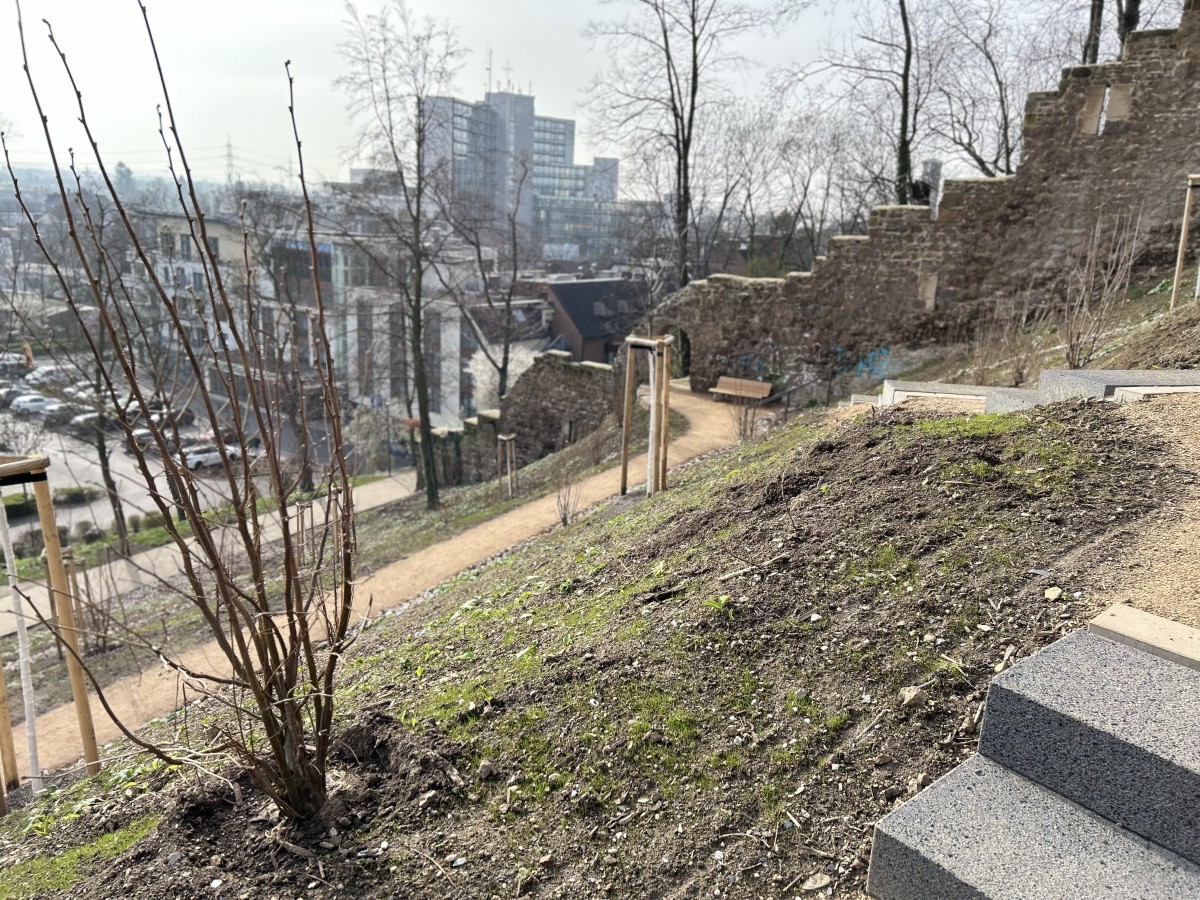 Stele 07 - Bild 01 Bild