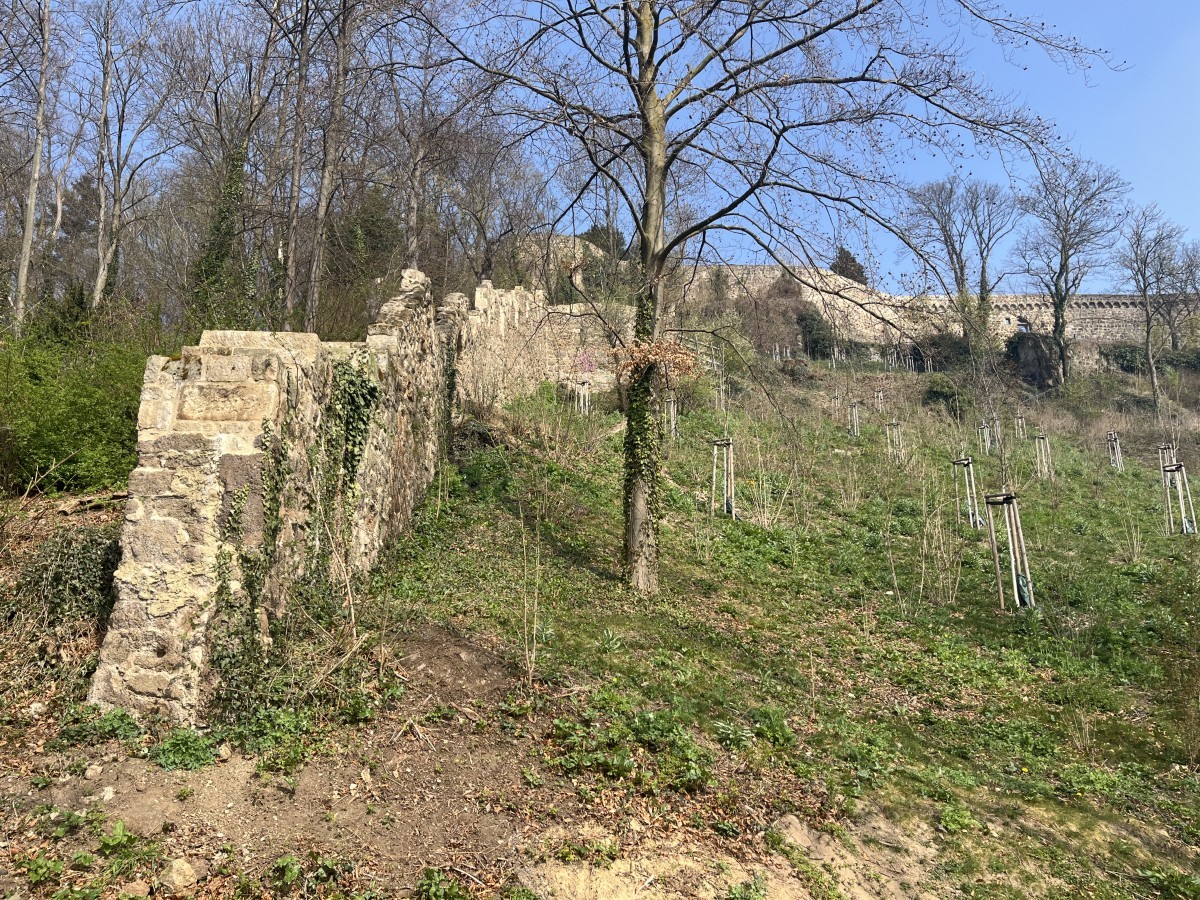 Stele 07 - Bild 02 Bild