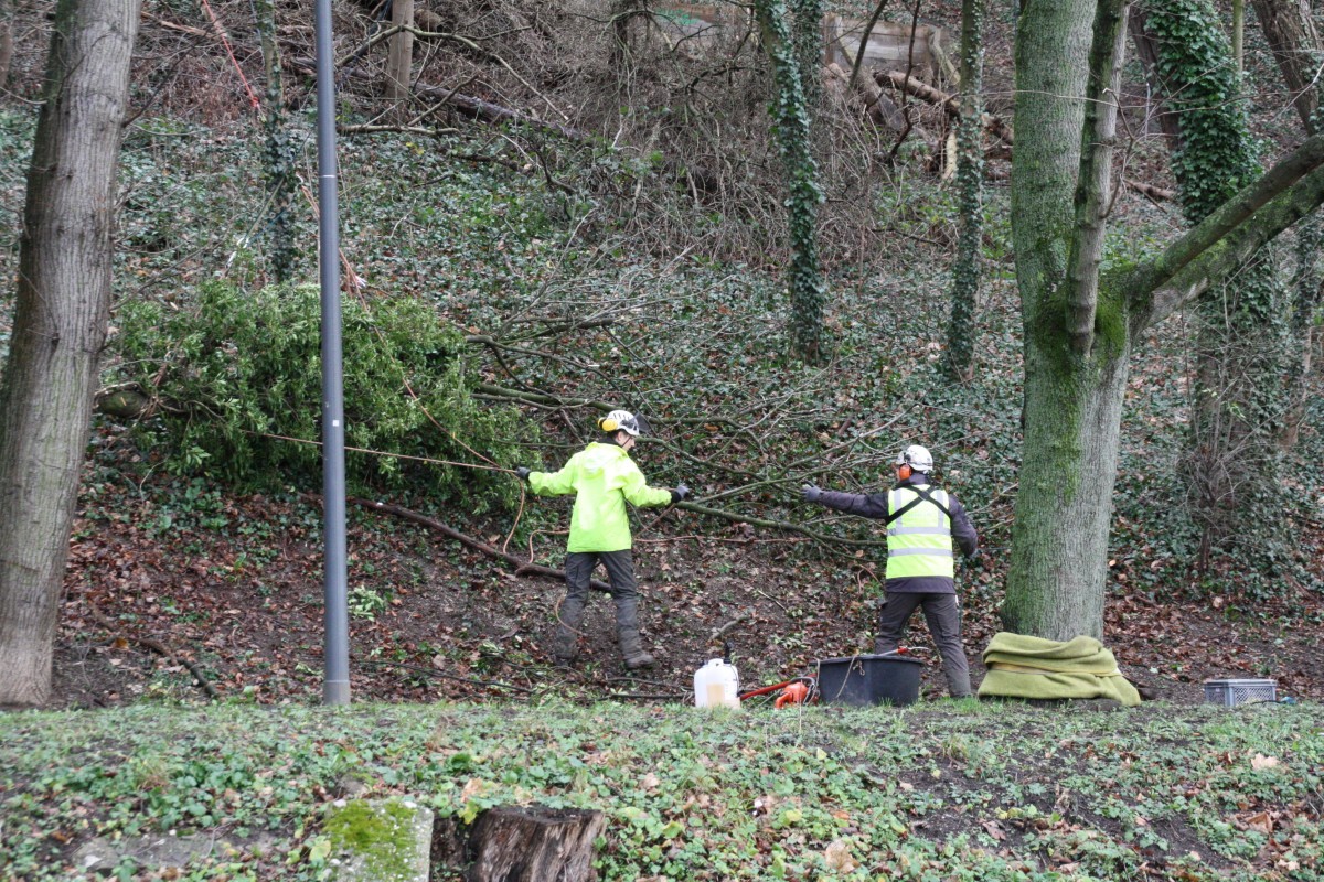 Stele 08 - Bild 04 Bild