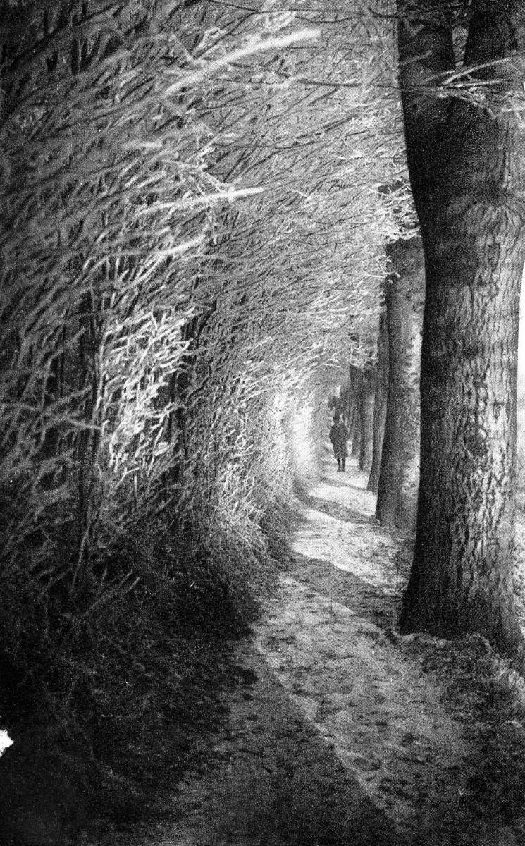 Stele 13 - Bild 04 Bild