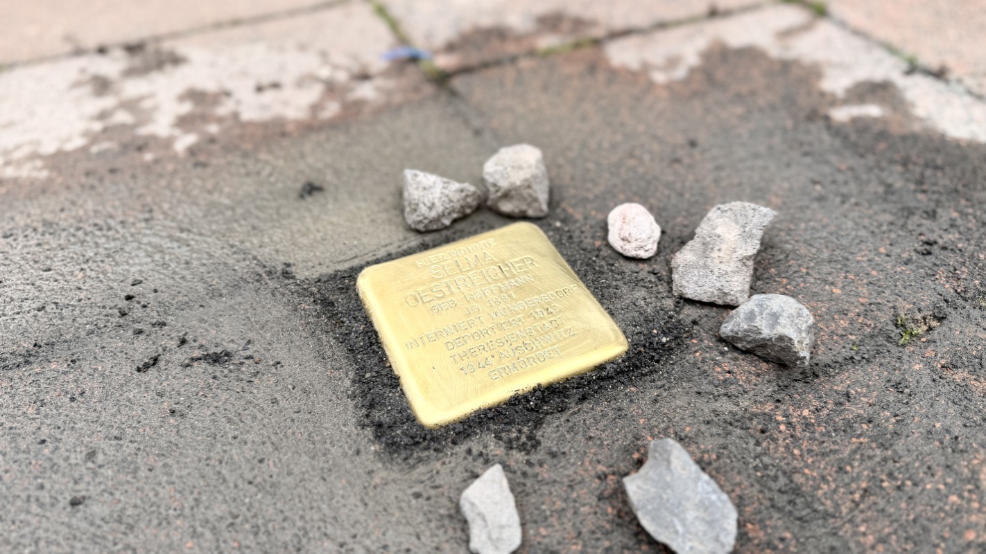 Stolperstein - Selma Oestreicher Bild