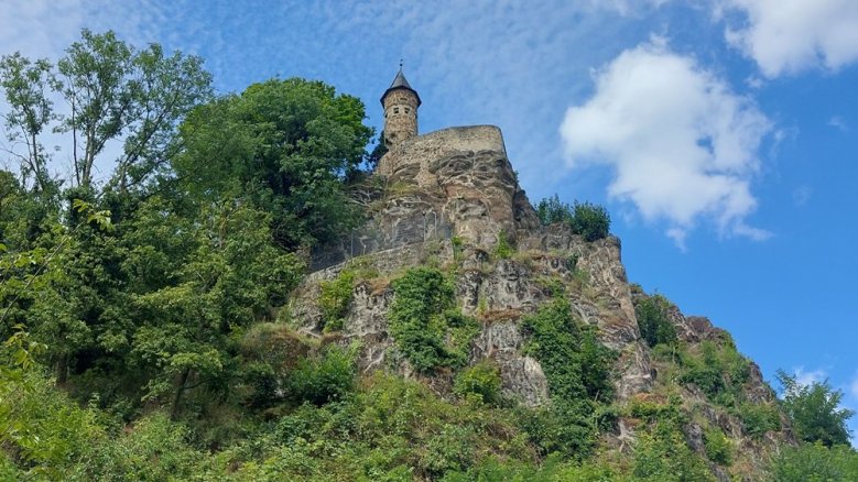 Johannistürmchen Johannistürmchen