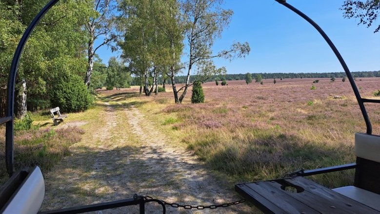 Urlaubsfoto Heide-Ridder Urlaubsfoto Heide-Ridder