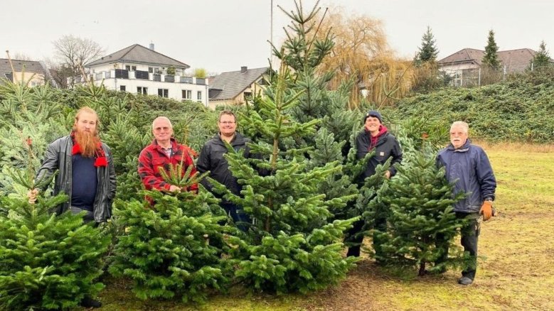 Weihnachtsbaum,verkauf DPSG St. Anno Weihnachtsbaum,verkauf DPSG St. Anno