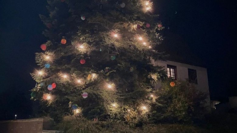 Weihnachtsbaum Braschoß Weihnachtsbaum Braschoß