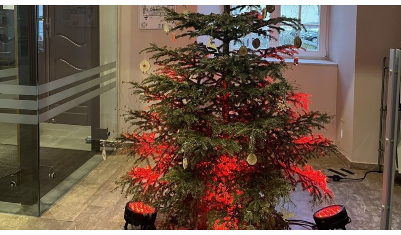 Weihnachtswunschbaum KSI