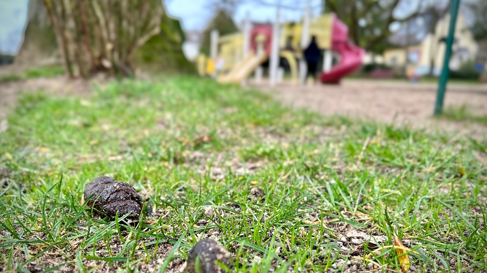 Hundekot auf Spielplätzen