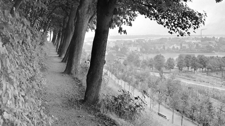 Michaelsberg Michaelsberg