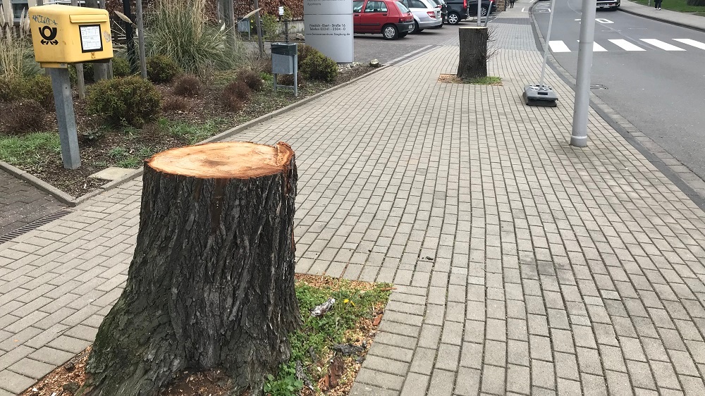 Stümpfe Friedrich-Ebert-Straße