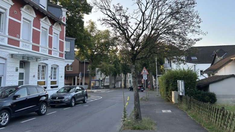 Baumfällung Seidenbergstraße Baumfällung Seidenbergstraße
