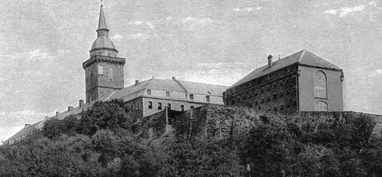 Zellenflügel Zellenflügel