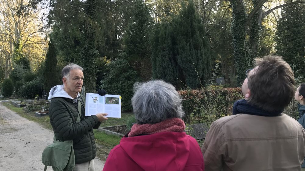 Vogelstimmen Nordfriedhof