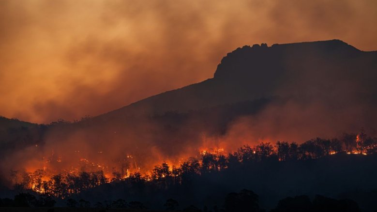 Waldbrand Waldbrand