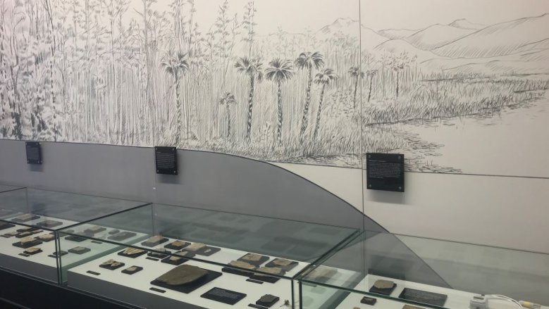 Abteilung Vorzeit im Stadtmuseum Abteilung Vorzeit im Stadtmuseum