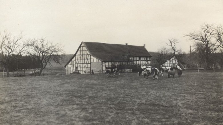 Der einstige Rothenbacher Hof am Stallberg Der einstige Rothenbacher Hof am Stallberg