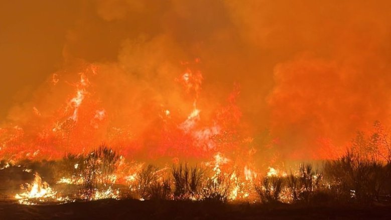 Waldbrand Guarda Waldbrand Guarda