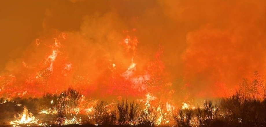 Waldbrand Guarda