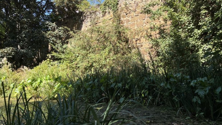 Stadtmauer Stadtmauer