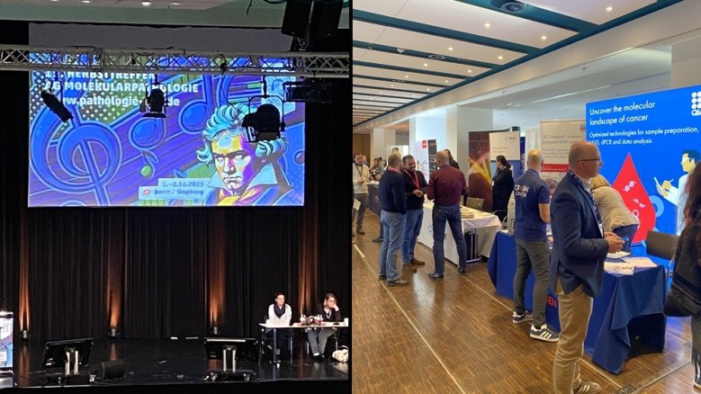 RSF Herbsttreffen Molekularpathologie