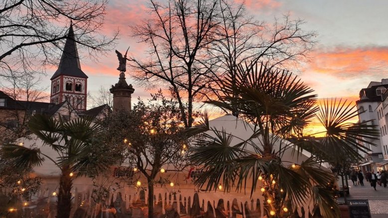 Abendrot über Palmen