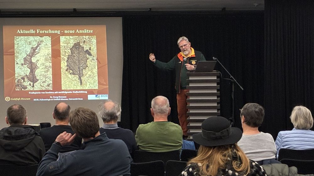 Museumsgespräch Museumsgespräch