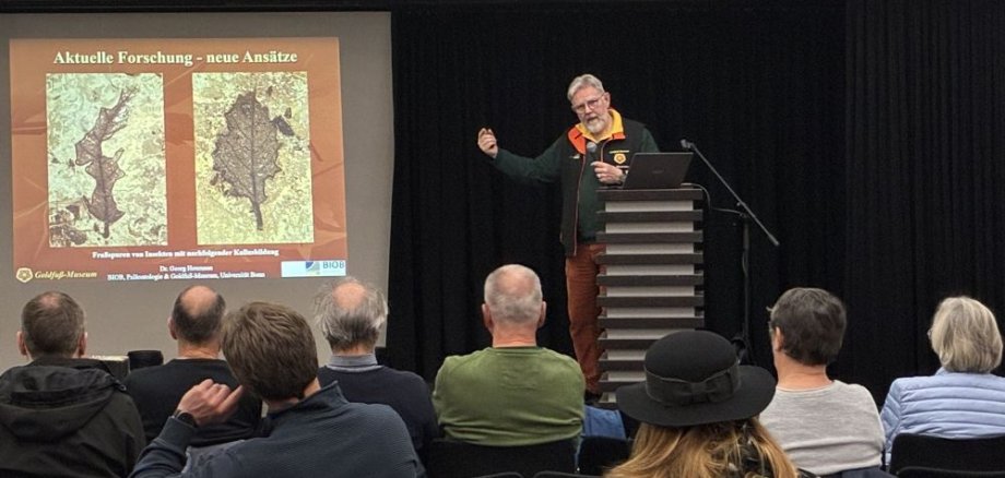 Museumsgespräch Museumsgespräch