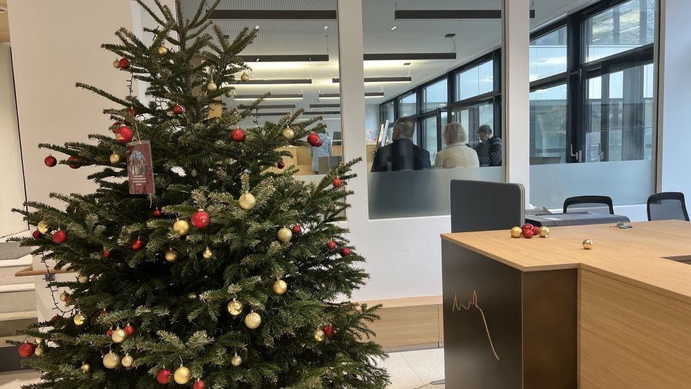 Weihnachtsbaum Rathaus