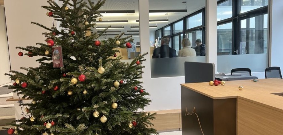 Weihnachtsbaum Rathaus