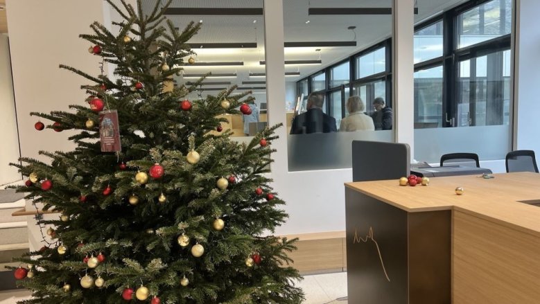 Weihnachtsbaum Rathaus