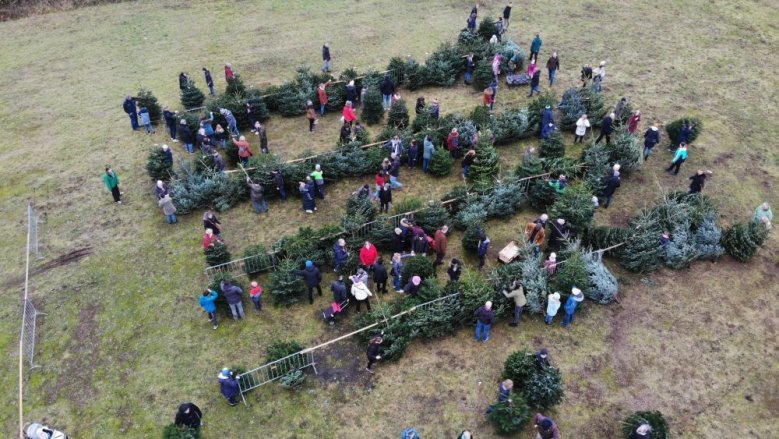 Weihnachtsbaumverkauf Pfadfinder St. Anno