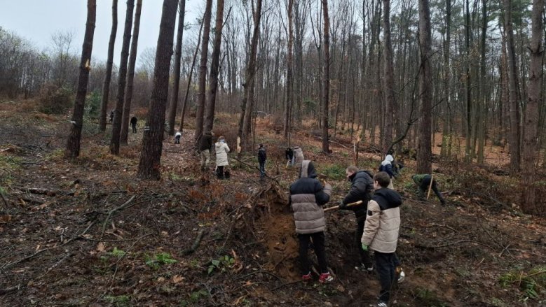 Gesamtschule Pflanzaktion Gesamtschule Pflanzaktion