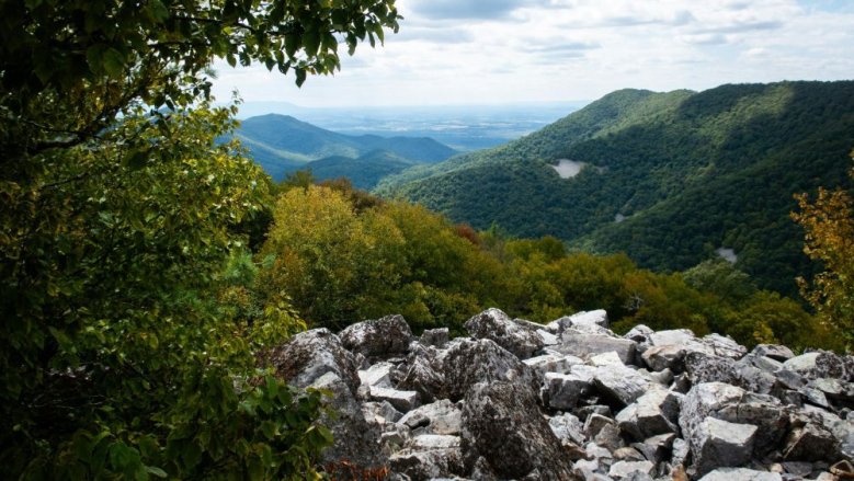 Shenandoah National Park