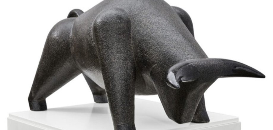 Stier Thomas FRische Stier Thomas FRische