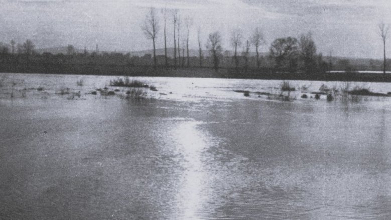 Sieghochwasser Sieghochwasser