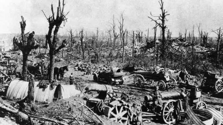 Reste eines französischen Waldes im Ersten Weltkrieg Reste eines französischen Waldes im Ersten Weltkrieg