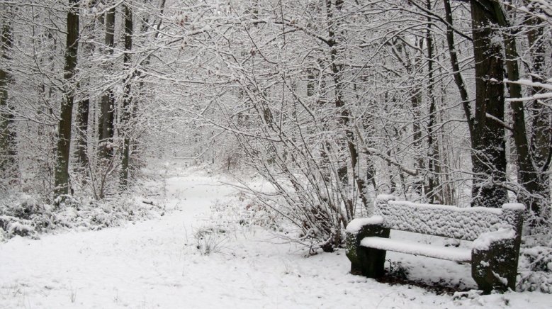 Daisy Wetter Daisy Wetter