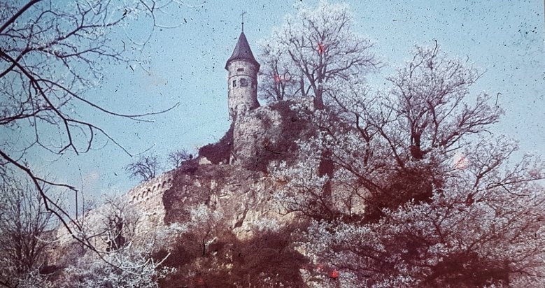 Rauhreif Michaelsberg Rauhreif Michaelsberg
