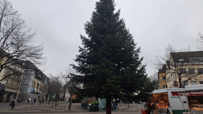 Weihnachtsbaum Weihnachtsbaum