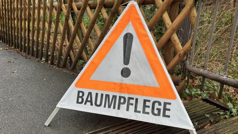 Baumpflege Baumpflege