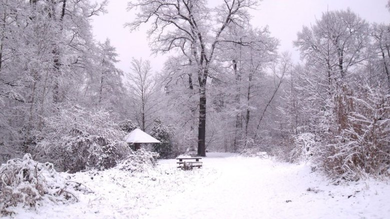 Wetter Wetter