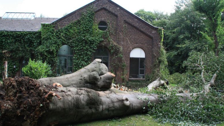 Galerie Langer Unwetter Galerie Langer Unwetter