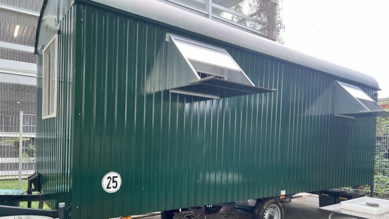 Taubenwagen Taubenwagen
