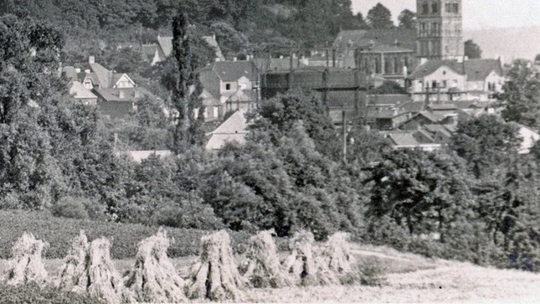 Heuernte Heuernte