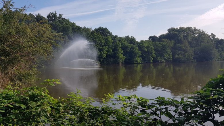 Trerichsweiher 1 Trerichsweiher 1