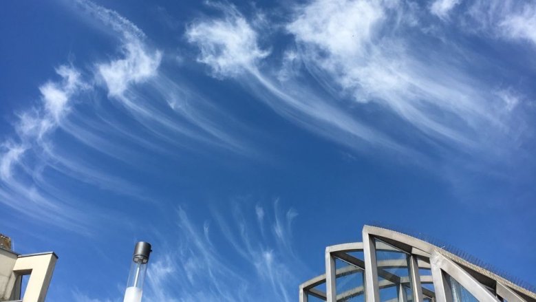 Federwolken Federwolken