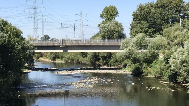 Niedrigwasser Sieg Niedrigwasser Sieg